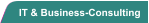 IT & Business-Consulting